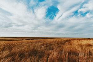 Fields elopement location in Kansas
